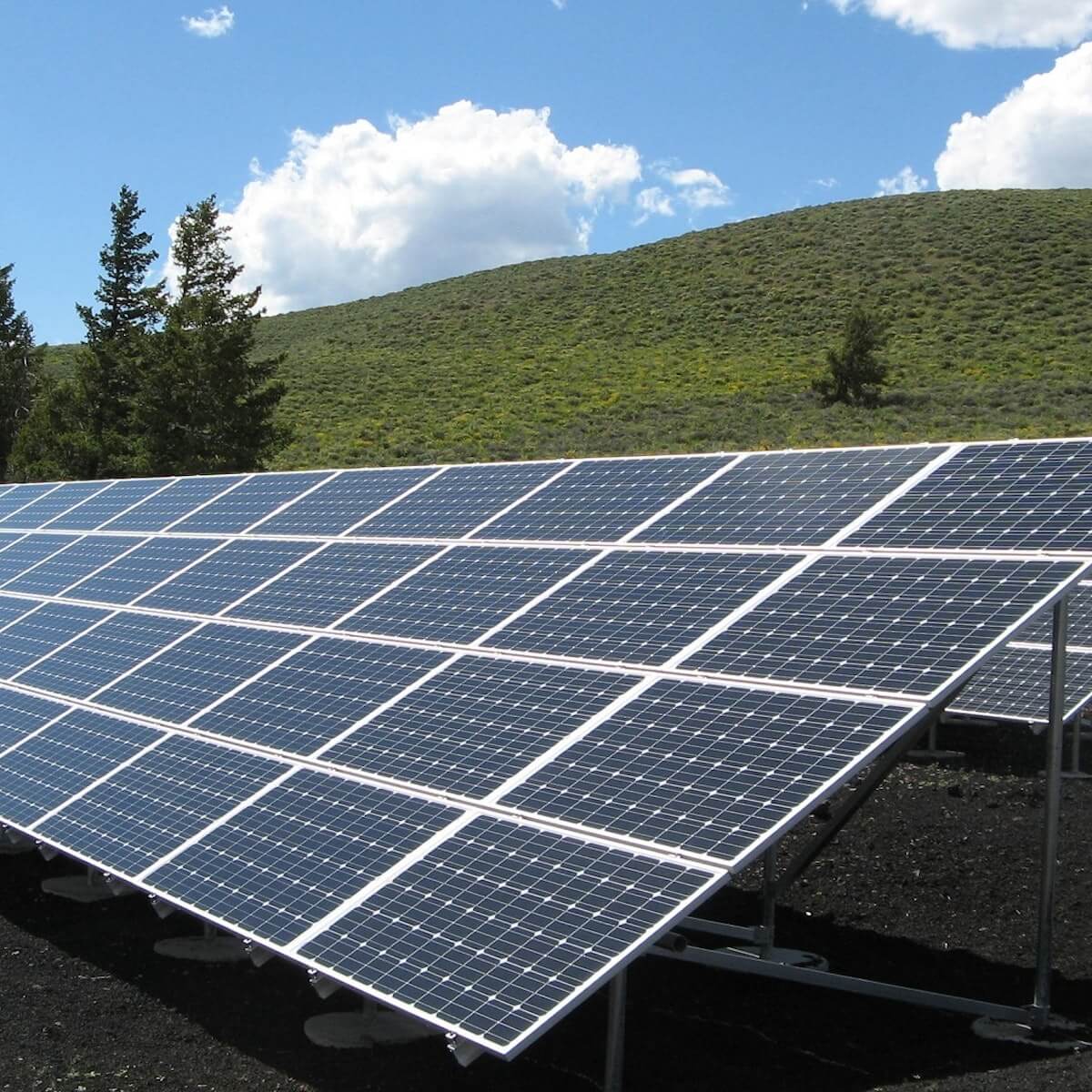 Solar Field in Los Angeles